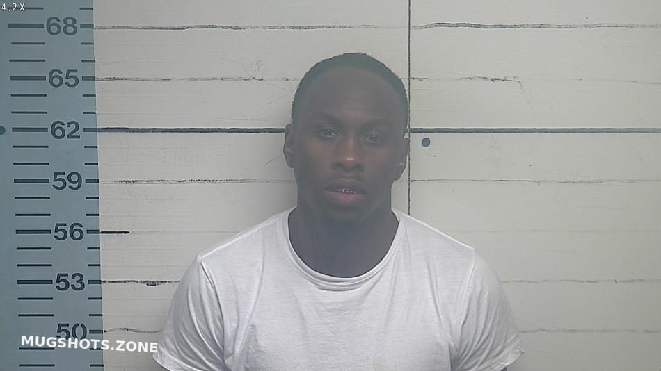 HILL CHRISTOPHER S 07/10/2023 Desoto County Mugshots Zone