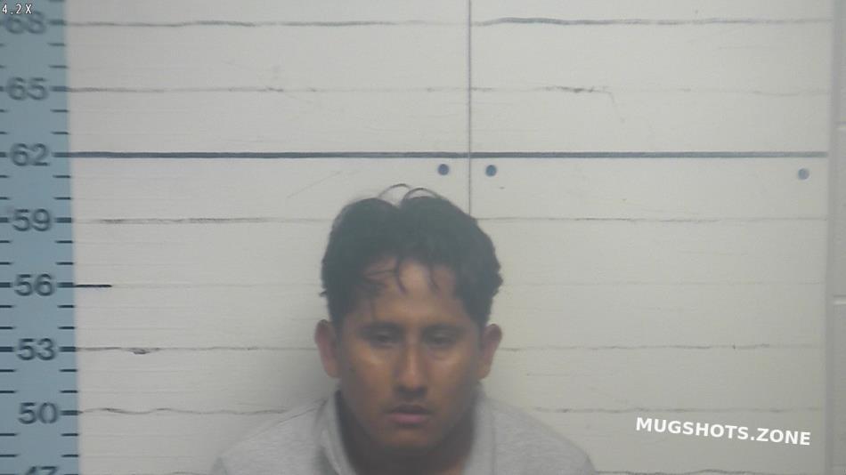 MONTELLO MAURICIO . 08/11/2023 Desoto County Mugshots Zone