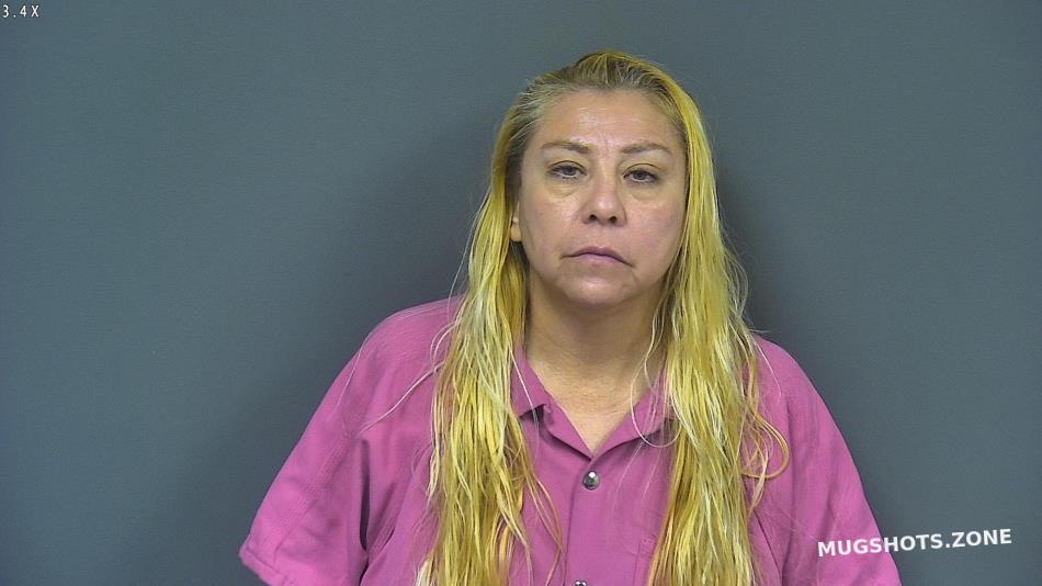 CARBAJAL LORENA C 11/16/2023 Desoto County Mugshots Zone