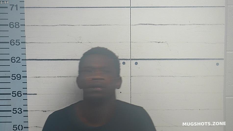 MOBLEY MICHAEL LEWIS JR 06/11/2024 - Desoto County Mugshots Zone