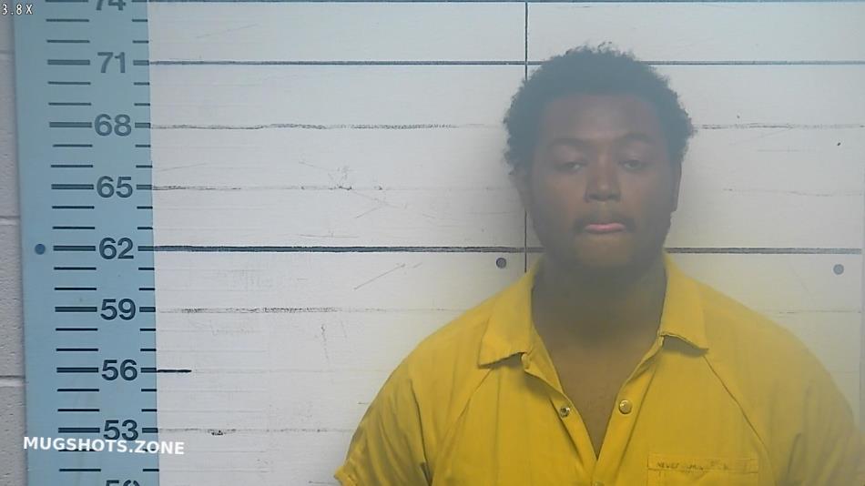 SPRINGFIELD MIKELL LYNN 04/11/2025 Desoto County Mugshots Zone