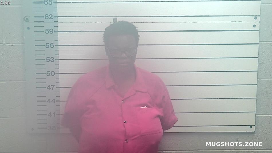 TAYLOR PARIS JANICE 09/08/2025 - Desoto County Mugshots Zone