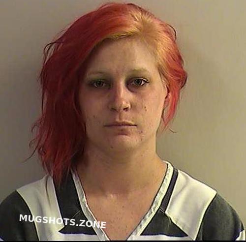 Baker Alyssa Sara Lynne Dickinson County Mugshots Zone