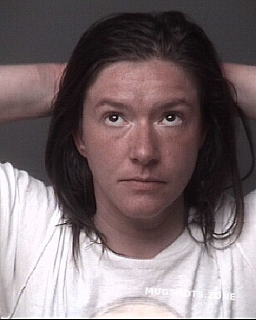 BRISBIN SANDRA ANN 05/07/2022 - Dubuque County Mugshots Zone