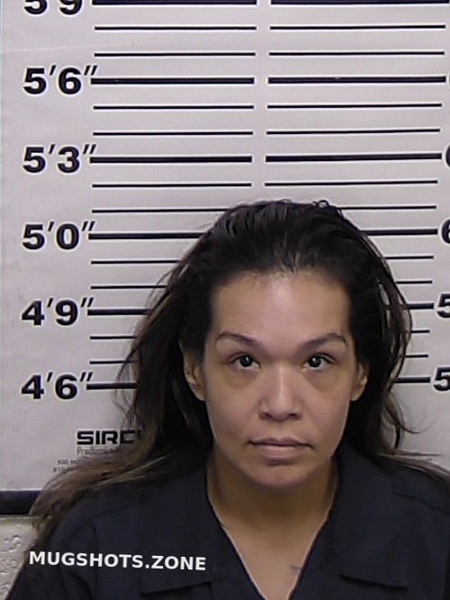MARTINEZ MANDY 10/24/2022 Eddy County Mugshots Zone