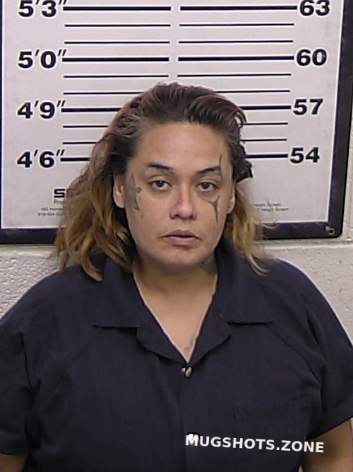 VASQUEZ RENAE 11/11/2022 Eddy County Mugshots Zone