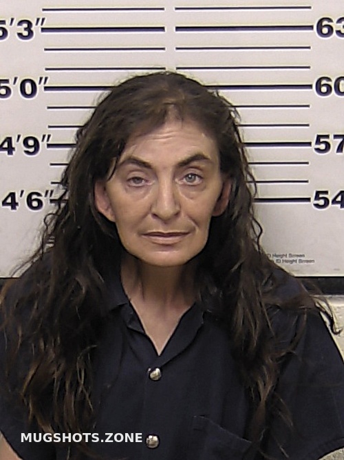 STURDEVANT SANDRA 02/20/2023 Eddy County Mugshots Zone
