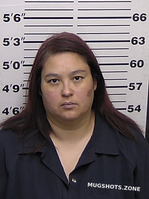 Pedroza Crystal 02272023 Eddy County Mugshots Zone