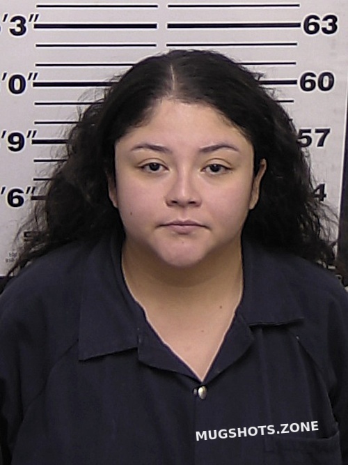 LEIJA VANESSA A 09/14/2023 Eddy County Mugshots Zone