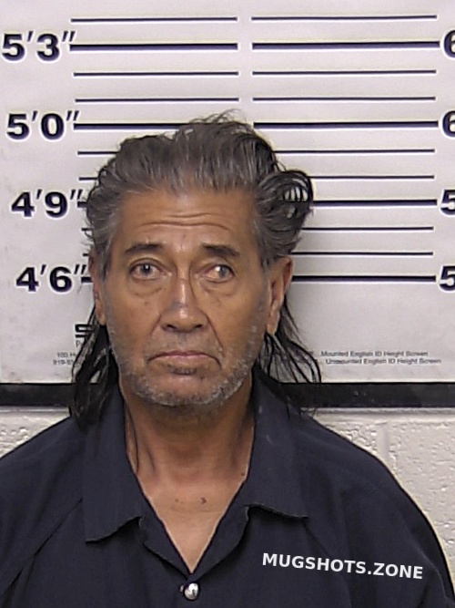 HERNANDEZ LUPE ANAYA 10/15/2023 - Eddy County Mugshots Zone