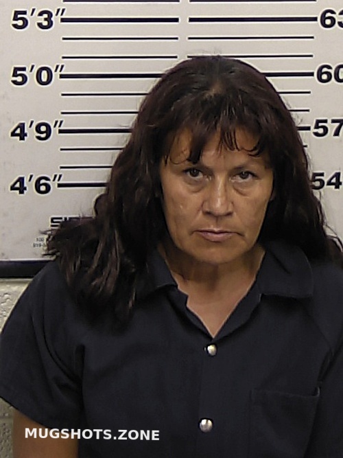 Lucero Elizabeth Viola 02 23 2024 Eddy County Mugshots Zone