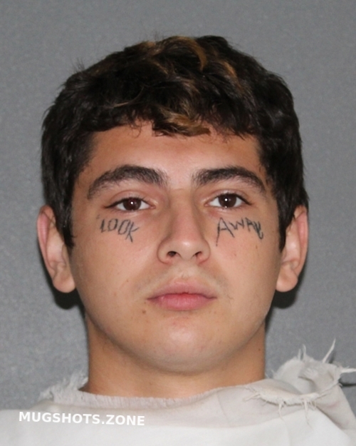 TRUJILLO DAHLAS 08/17/2021 Ellis County Mugshots Zone