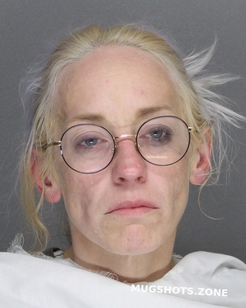 TOLLESON COURTNEY NICOLE 10/25/2022 Ellis County Mugshots Zone