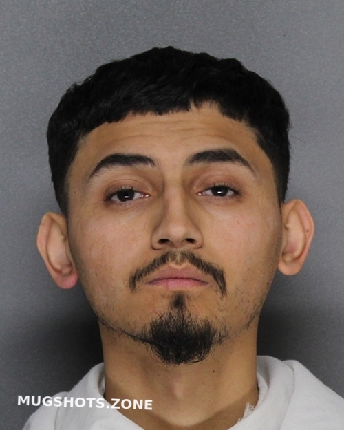 FERNANDEZ ELISEO 01/21/2024 - Ellis County Mugshots Zone