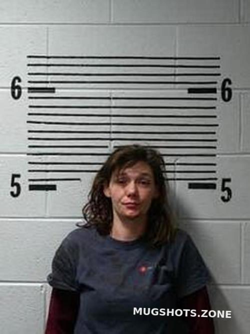 Chassidy Bridges 02 04 2023 Elmore County Mugshots Zone