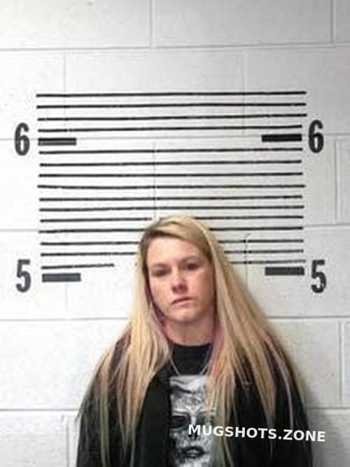 Kristen Simmons 02062023 Elmore County Mugshots Zone 4073