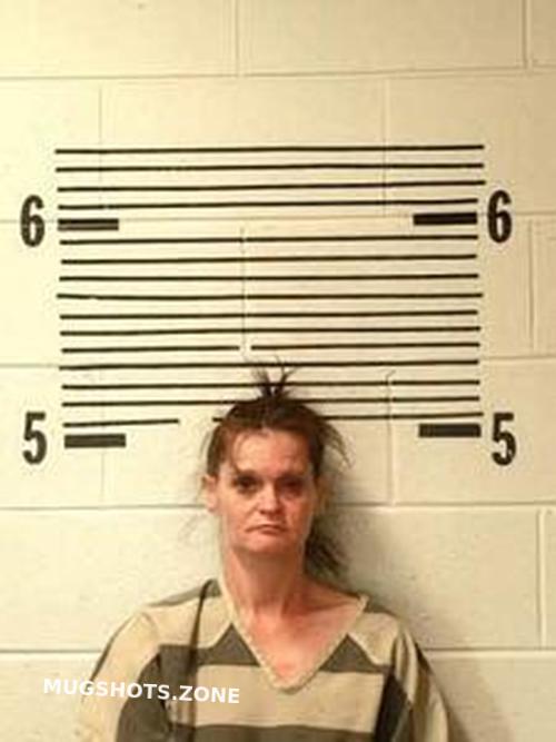 Jaime Laningham 02 09 2023 Elmore County Mugshots Zone