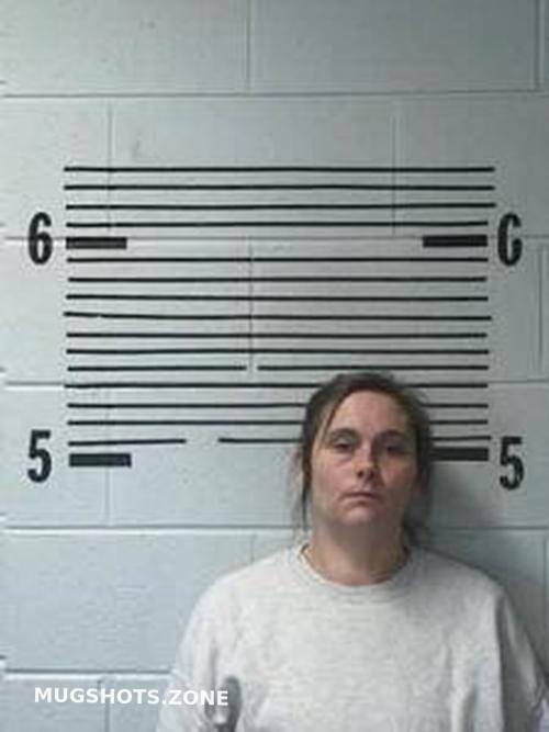 Mary Dawkins 11 17 2023 Elmore County Mugshots Zone