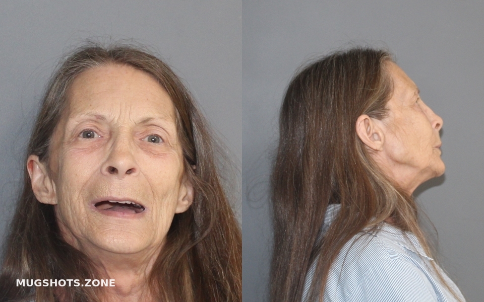 ARNOLD JAN ELAINE 06/30/2023 Erath County Mugshots Zone