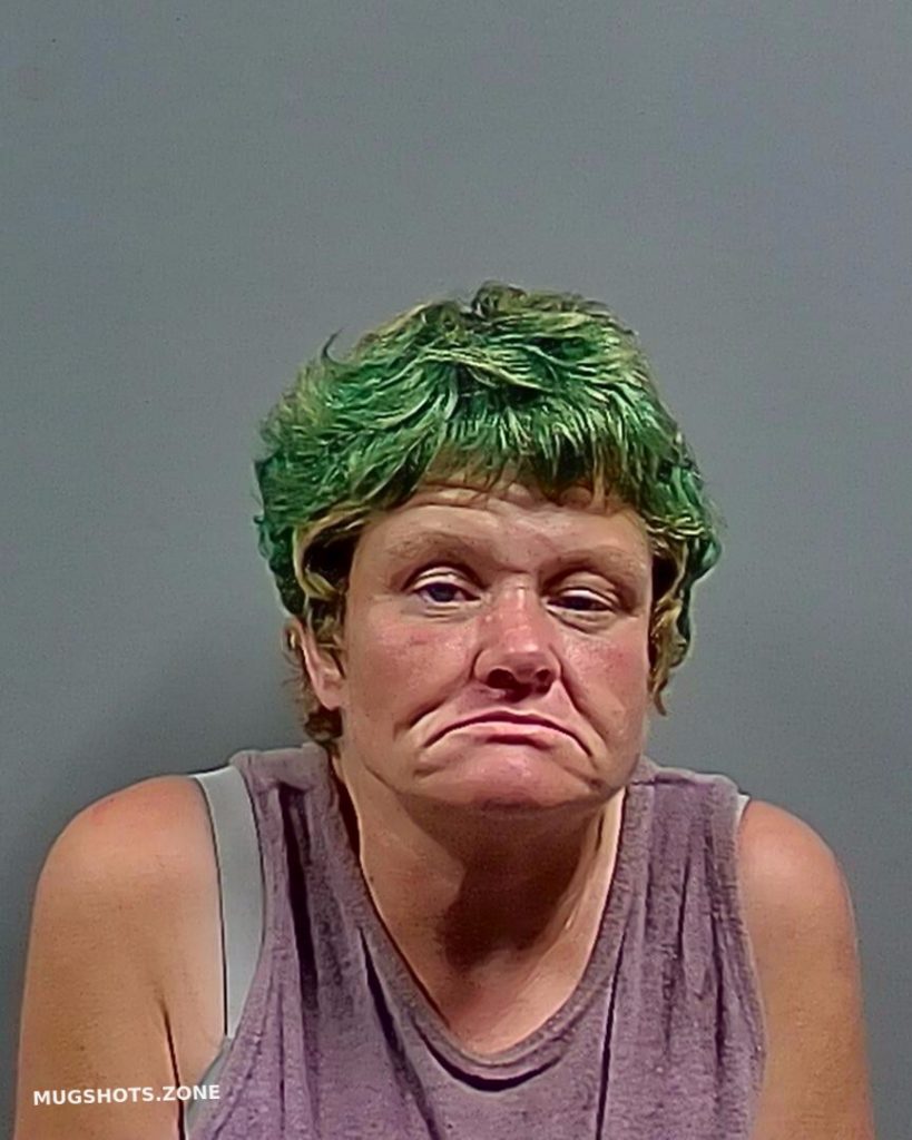 Sinsel Lana Lorene 11 12 2022 Escambia County Mugshots Zone