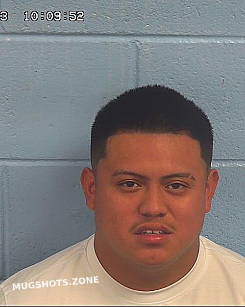 TOMAS MICHAEL LEE 06/18/2023 - Etowah County Mugshots Zone