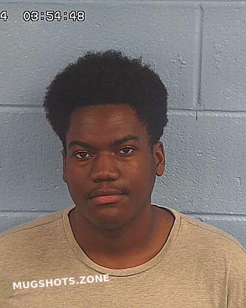 WILLIAMSON CAMERON OSHAE 06/13/2024 Etowah County Mugshots Zone