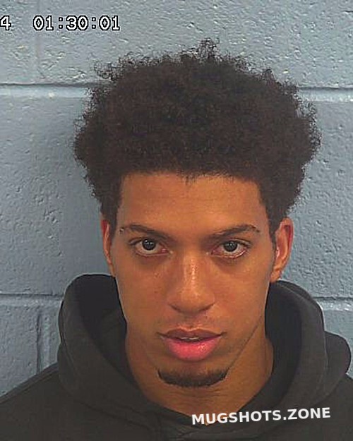 LEWIS TYLER 12/30/2024 Etowah County Mugshots Zone