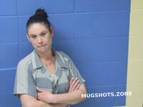 Misty Dawn Reid 04072022 Faulkner County Mugshots Zone