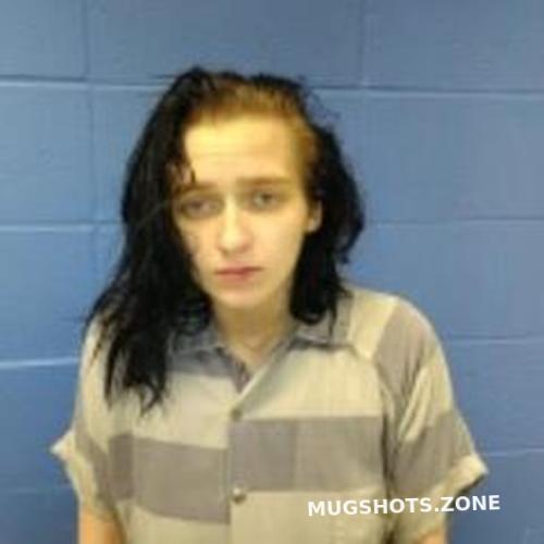 Ella Wyatt 04 12 2023 Faulkner County Mugshots Zone