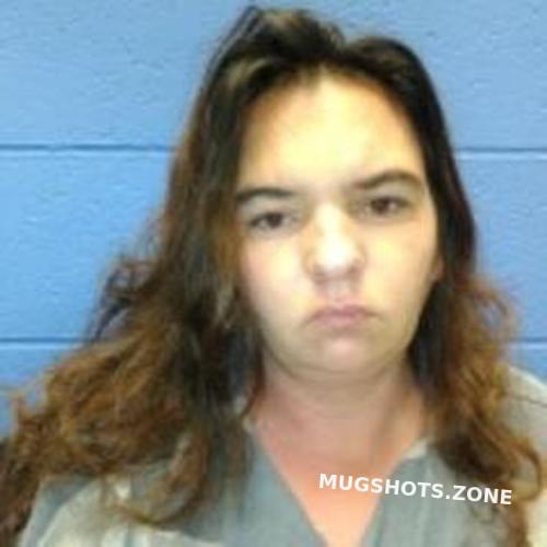 CHELSEY ELIZABETH MCGHEE 04/30/2023 - Faulkner County Mugshots Zone