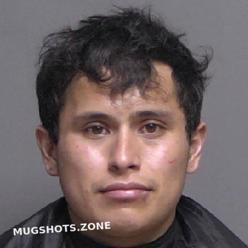 MARTINEZ DIEGO XAVIER 10/12/2024 Flagler County Mugshots Zone