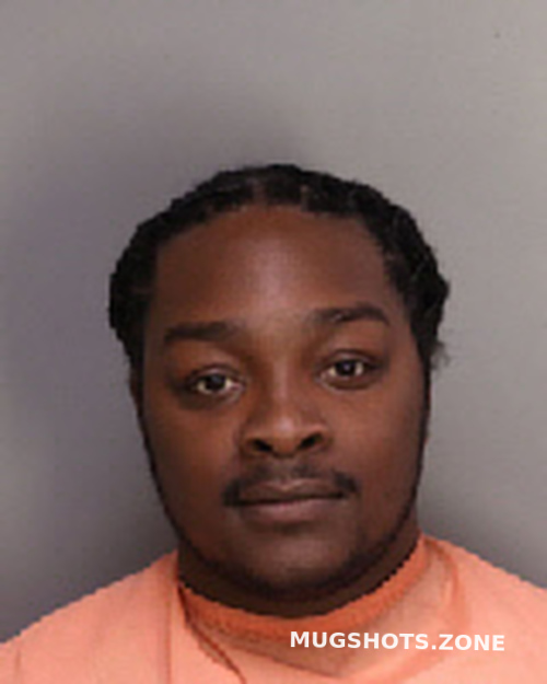 BRUNSON DOMINIQUE MAURICE 01/07/2022 Florence County Mugshots Zone