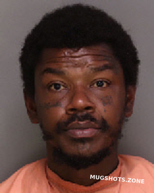 RAYNOR VICTOR CAESAR 10/10/2022 Florence County Mugshots Zone