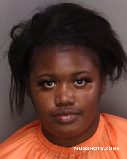 TOWNSEND SHYNEICE ARNETTA 11/04/2022 - Florence County Mugshots Zone