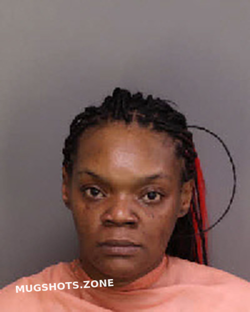 Fulton Cathy Laytal 11 12 2022 Florence County Mugshots Zone