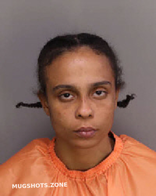 BROWN ALICIA NAEEMAH 11/19/2022 - Florence County Mugshots Zone