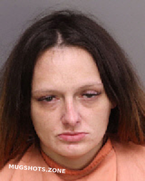 SMITH LINDSAY RENEE 01/17/2023 Florence County Mugshots Zone