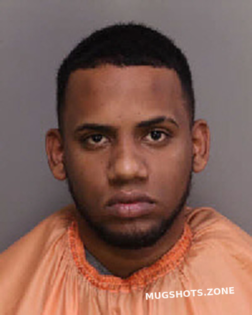VAILLANT DAVID 01/26/2023 Florence County Mugshots Zone