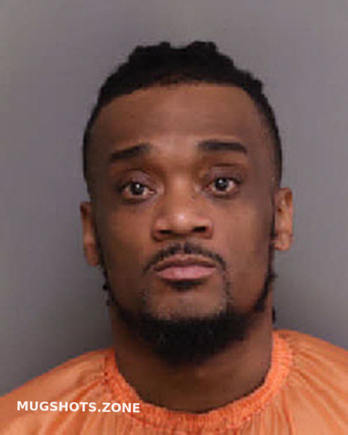 EDWARDS TROY HENRY 03/11/2023 Florence County Mugshots Zone