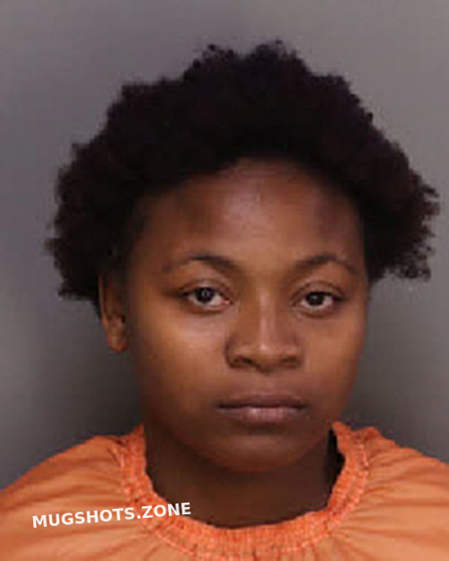 MCCOY RAVEN MOESHA 05/05/2023 Florence County Mugshots Zone