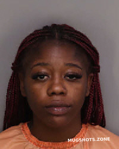 DAVIS JASMINE VHANE 05/17/2023 Florence County Mugshots Zone
