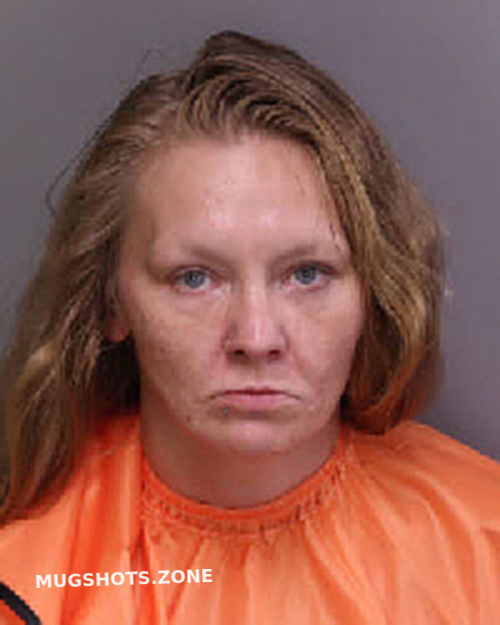 Boyer Amy Nicole 08 15 2023 - Florence County Mugshots Zone