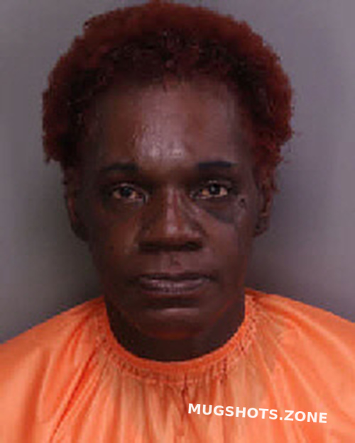 BROWN DENISE 08/16/2023 - Florence County Mugshots Zone