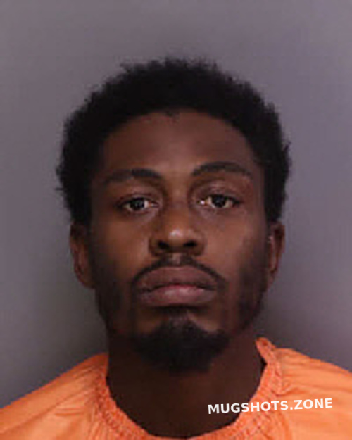 GREGG ARTHUR LEE 08/18/2023 Florence County Mugshots Zone