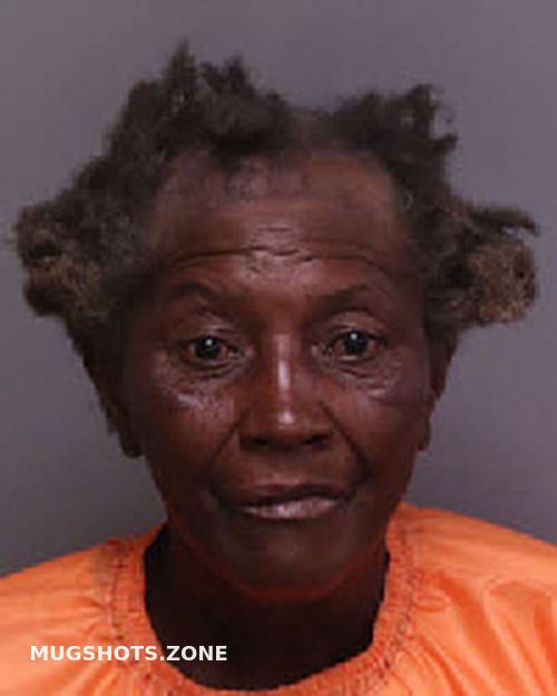 MCALL CYNTHIA 09/02/2023 Florence County Mugshots Zone