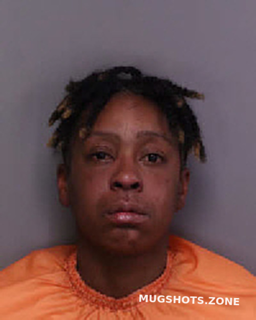 ROBINSON CONSCEPSCION CARMELA 01/19/2024 - Florence County Mugshots Zone