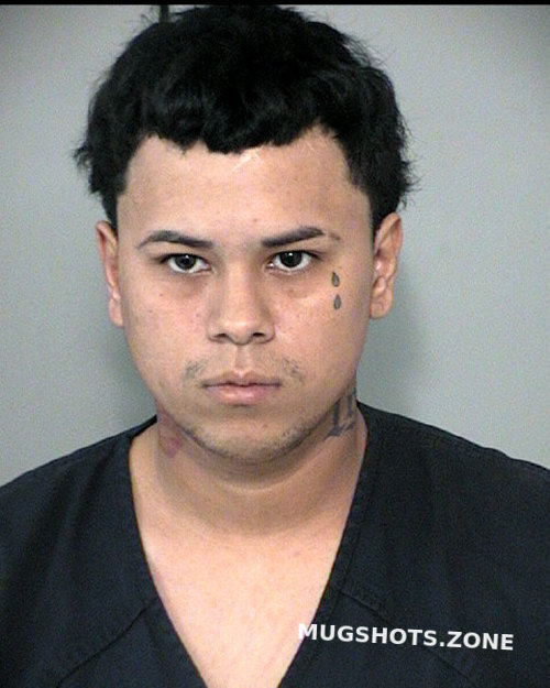 ALVERADOMENDOZA ROGERS ALEXANDER 03/20/2023 Fort Bend County