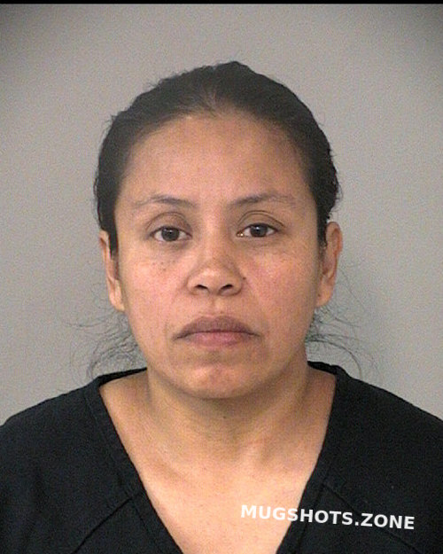 HERNANDEZ RAMOS EVELYN YESENIA 10/15/2023 Fort Bend County Mugshots Zone