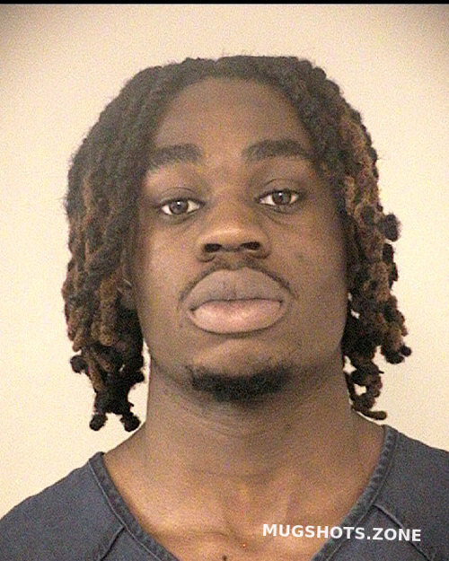 Osuagwu Obinna 10282023 Fort Bend County Mugshots Zone