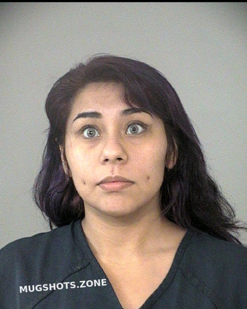 CASTRO ZABRINA MARI 10/28/2023 - Fort Bend County Mugshots Zone